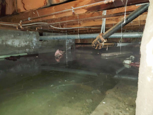Best Commercial water damage restoration  in West Hurley, NY
