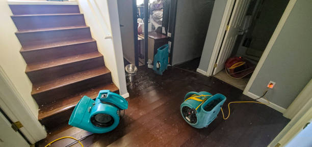 Best Water damage cleanup near me  in West Hurley, NY