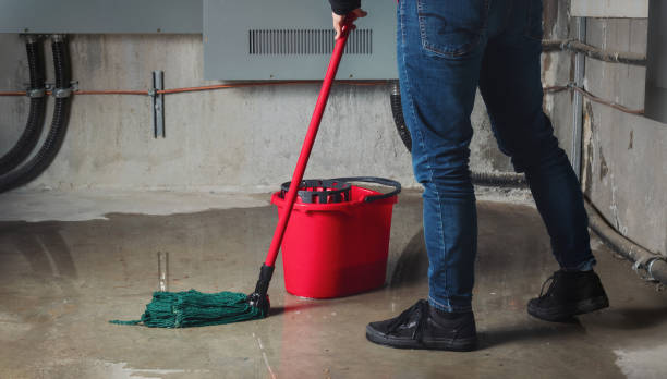 Best Commercial water damage restoration  in West Hurley, NY