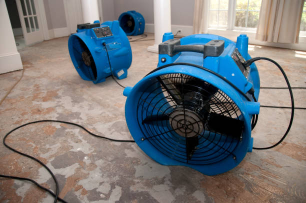 Best Residential water damage restoration  in West Hurley, NY