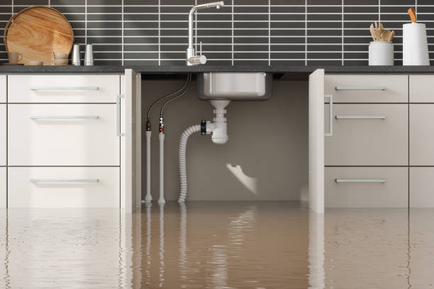 Best Basement water damage restoration  in West Hurley, NY