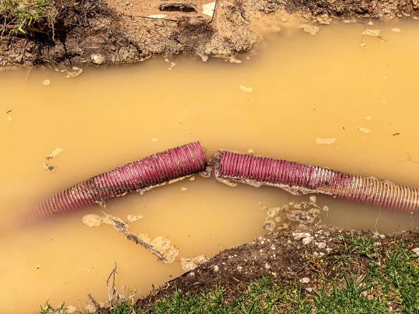 Best Flood restoration services  in West Hurley, NY