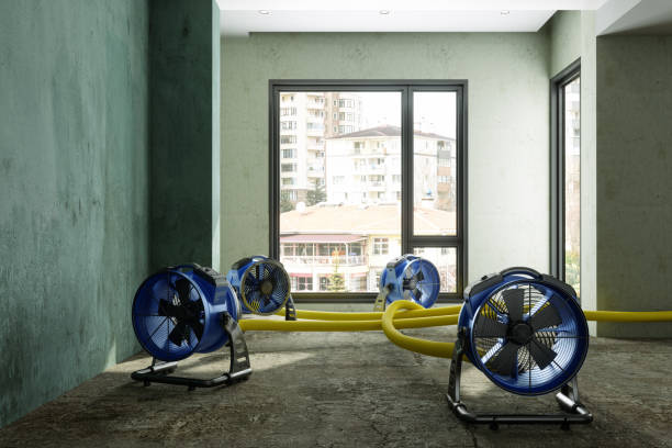 Best 24/7 water damage repair  in West Hurley, NY