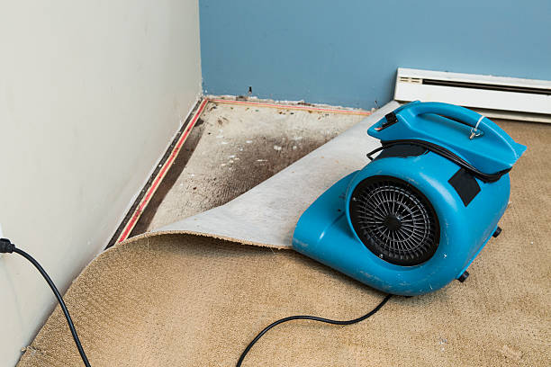 Best Water damage contractors near me  in West Hurley, NY